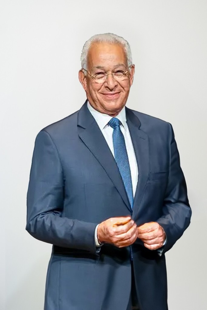 Prof. Hany Helal